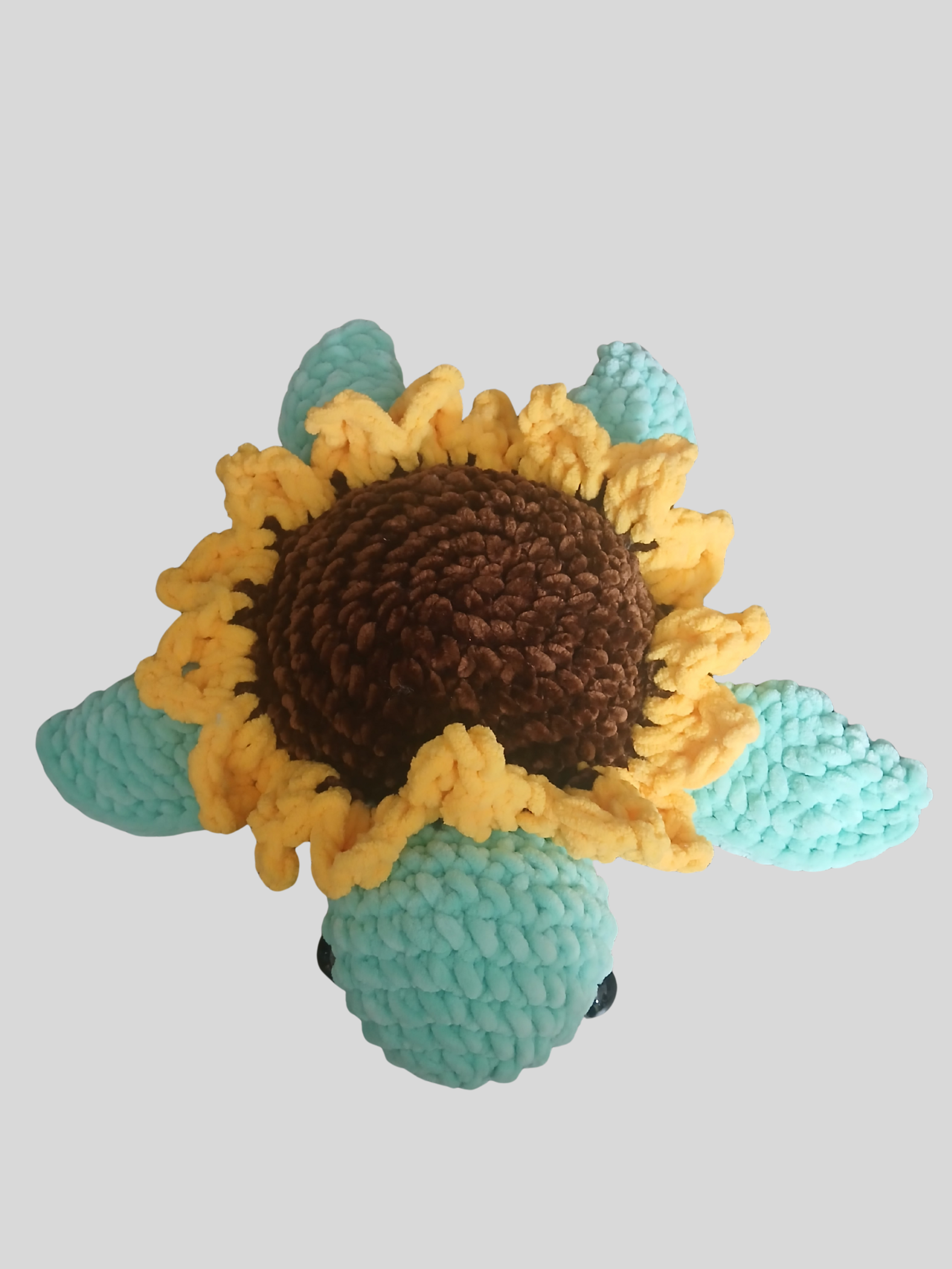 Sally the Sunflower Turtle